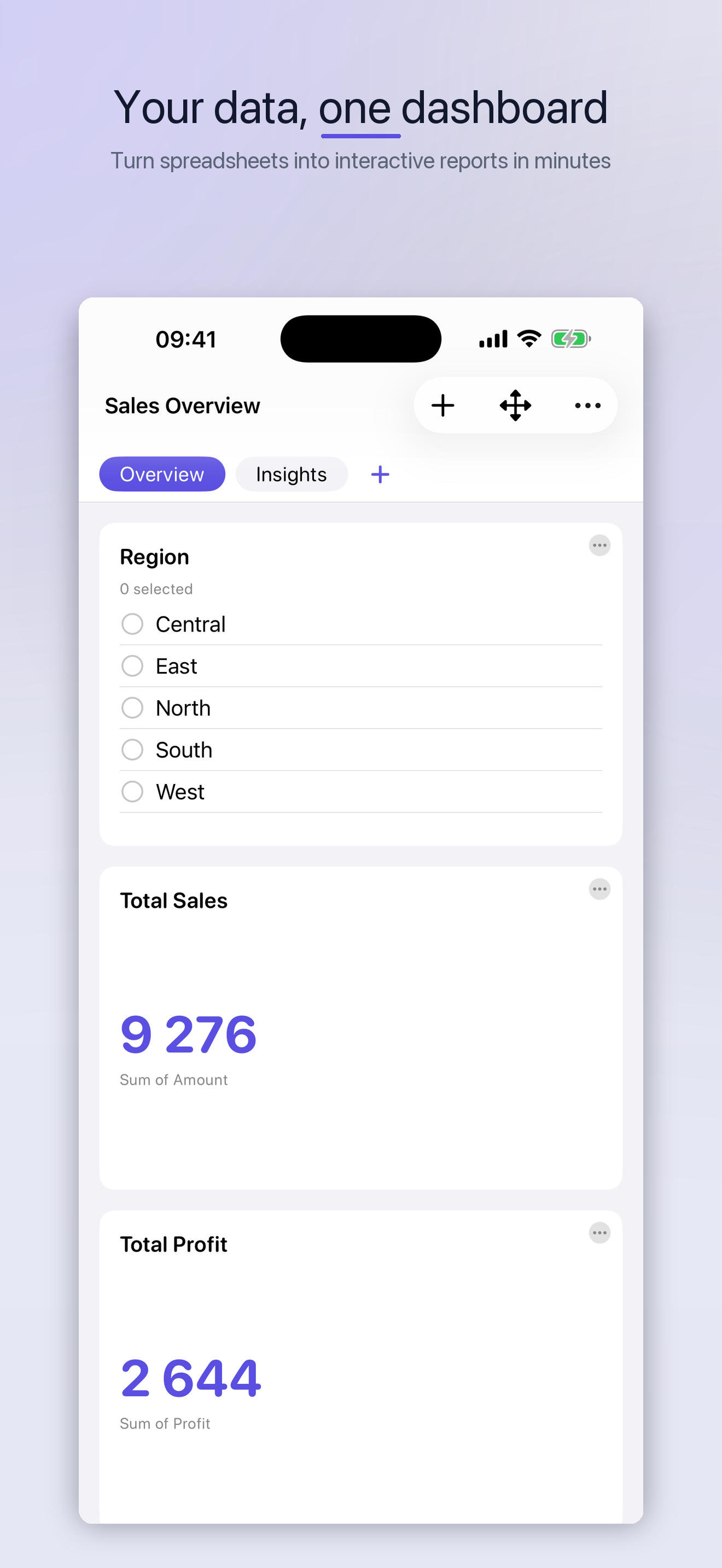 Dashboard on iPhone
